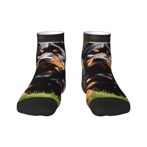 Men's Rototo Socks | Premium Japanese Craftsmanship